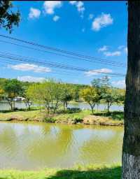 探索南京秘境：99%南京人都不知道的治癒系免費公園。