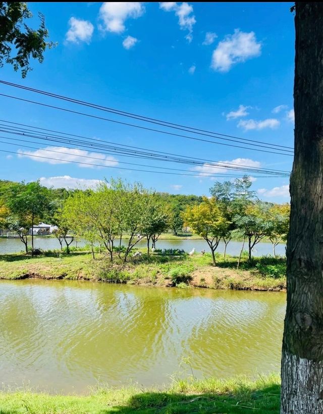 探索南京秘境：99%南京人都不知道的治癒系免費公園。