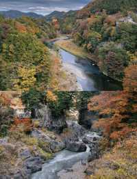 東京賞楓圖鑑：御岳山。