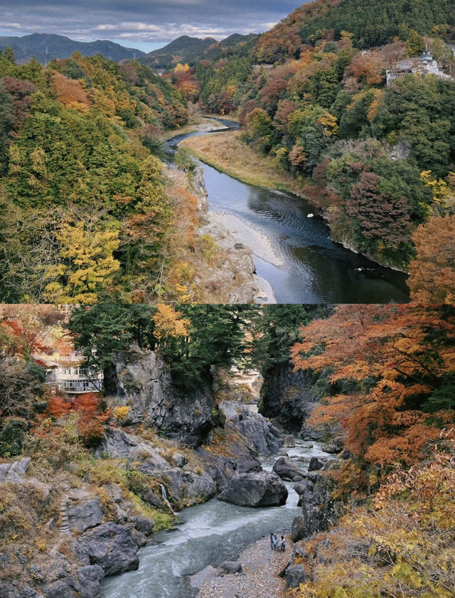 東京賞楓圖鑑：御岳山。