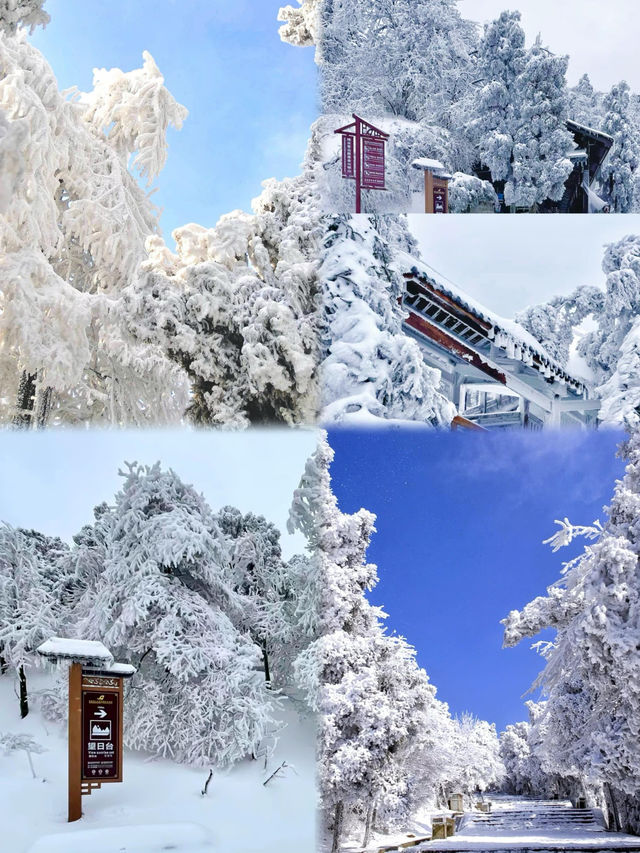 清遠金子山旅遊避雷攻略。