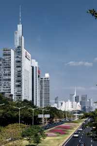 深圳·深南大道在強烈陽光照耀下的景象！