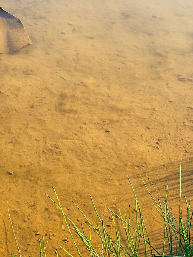 深圳南灣樂清公園