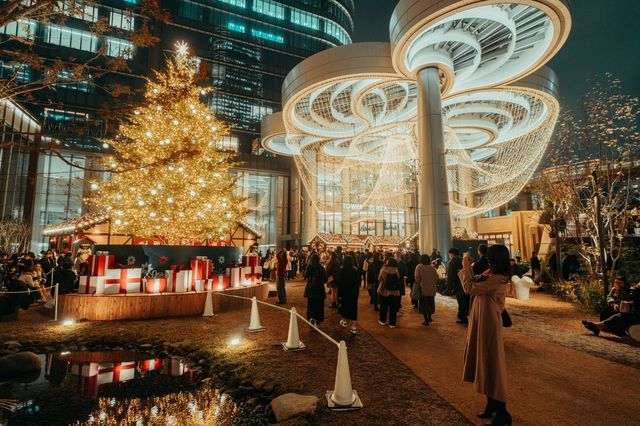 Experience the Magic of Tokyo's Christmas Illuminations