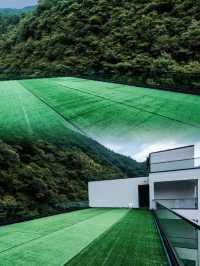 安吉走進原木風情民居——神龍·聽溪見山