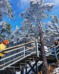 站在海拔 4,200 米的雪峰之巅，是一種什麼樣的體驗～