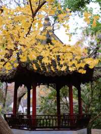 美翻了！你永遠可以相信婚紗照的取景水平！