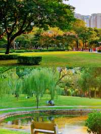 那些值得反復去的廈門公園|南湖公園