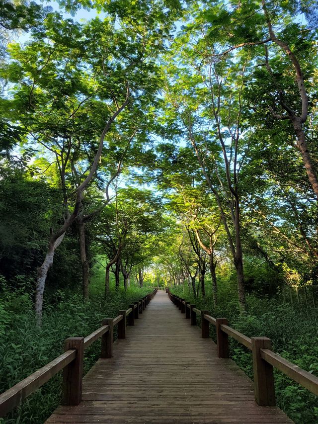 北海冬日遊|2天不重樣 暖心攻略來啦