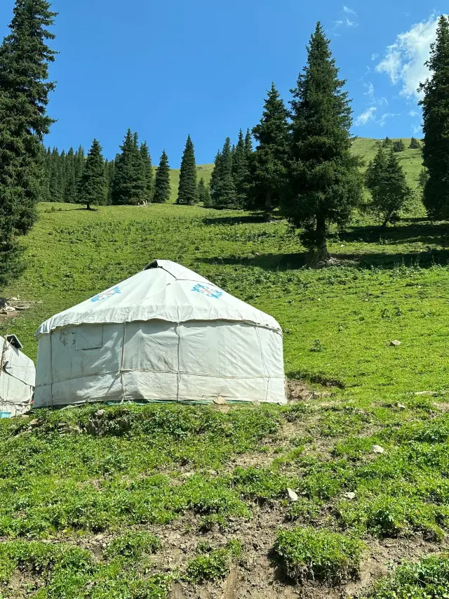5 Days in Northern Xinjiang - Ili, Your Friends Will Be Jealous!