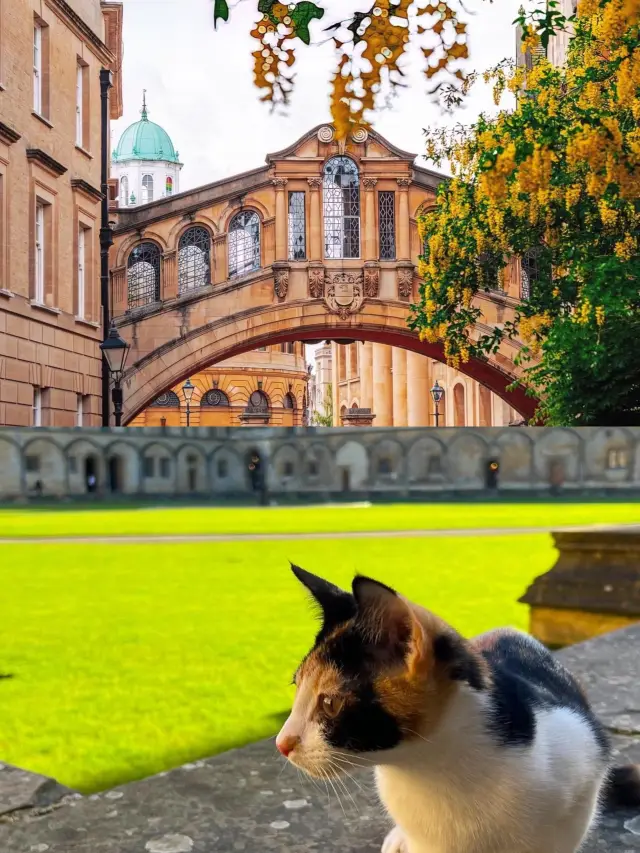Weekend Day Trip to Oxford | Round-trip £58