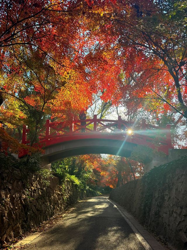 中山-珠海2日遊 玩轉雙城不留遺憾超全攻略來襲