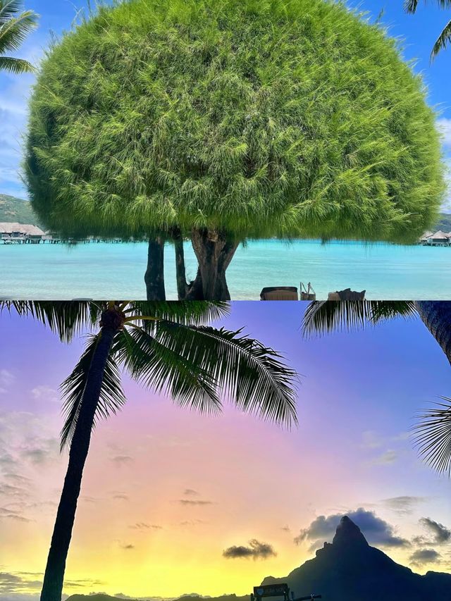 夢幻旅行地