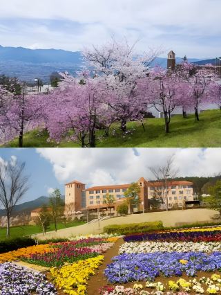 Live in a fairy tale! A stunning trip to the Fruit Park Fujiya Hotel