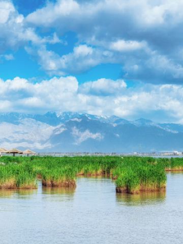 阿拉善-固原-銀川8日深度遊 超詳細攻略來啦