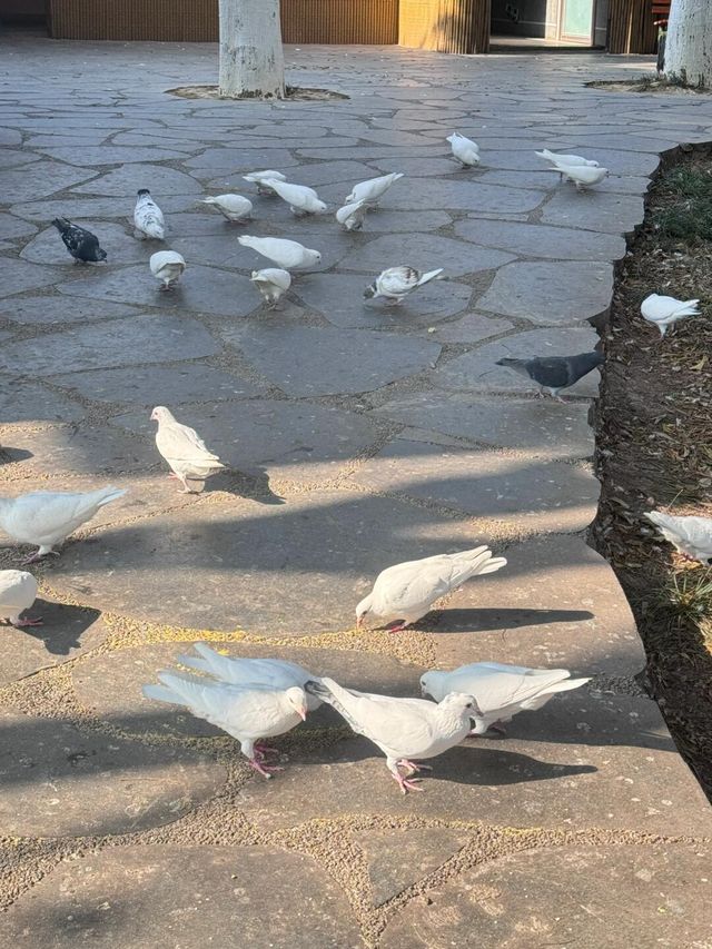 成都周邊遊玩——西昌三天兩夜