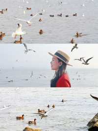 深圳親子遊 前海藝術觀海遊玩攻略