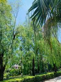 邂逅盤龍山莊，靜享悠然時光