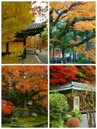 京都·南禪寺｜來京都必打卡的寶藏寺院體驗和服之美