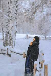 新疆禾木｜落雪成詩，芳華盡收