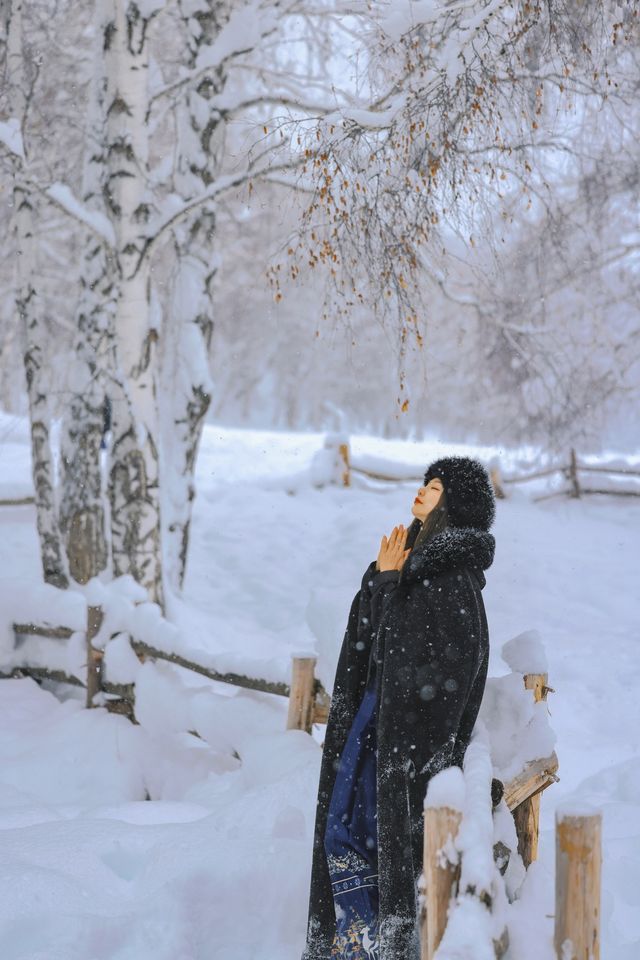 新疆禾木｜落雪成詩，芳華盡收
