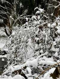 成都周邊一個小時就能到達這個玩雪聖地！