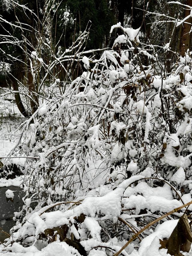 成都周邊一個小時就能到達這個玩雪聖地！