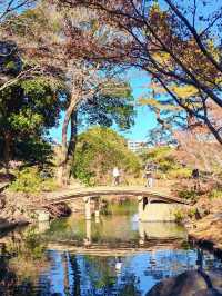 東京都特別名勝-六義園