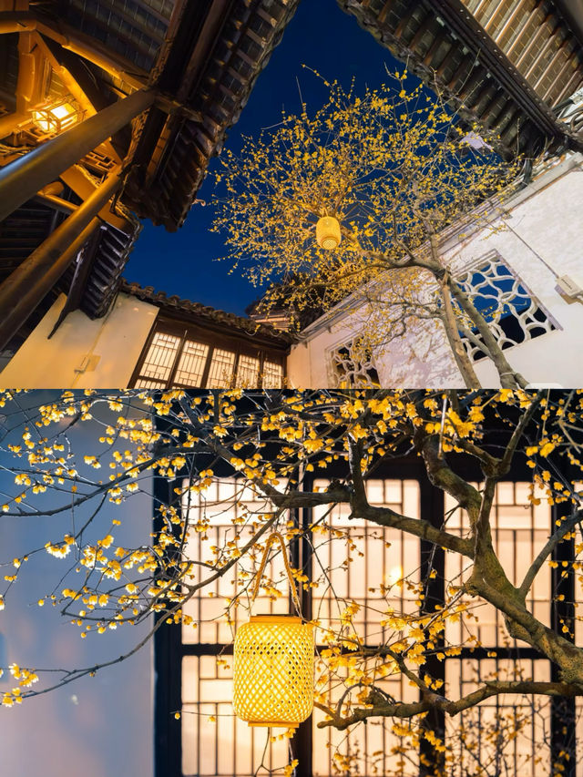 南京瞻園|中式旅行