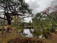 家人們誰懂啊！在蘆城公園狠狠拿捏鬆弛感