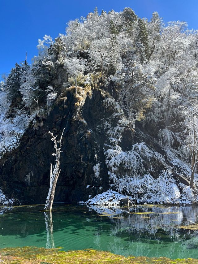 理縣2日遊 真溫泉裏享愜意時光