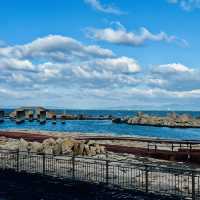 打卡日本大阪阪南里海公園