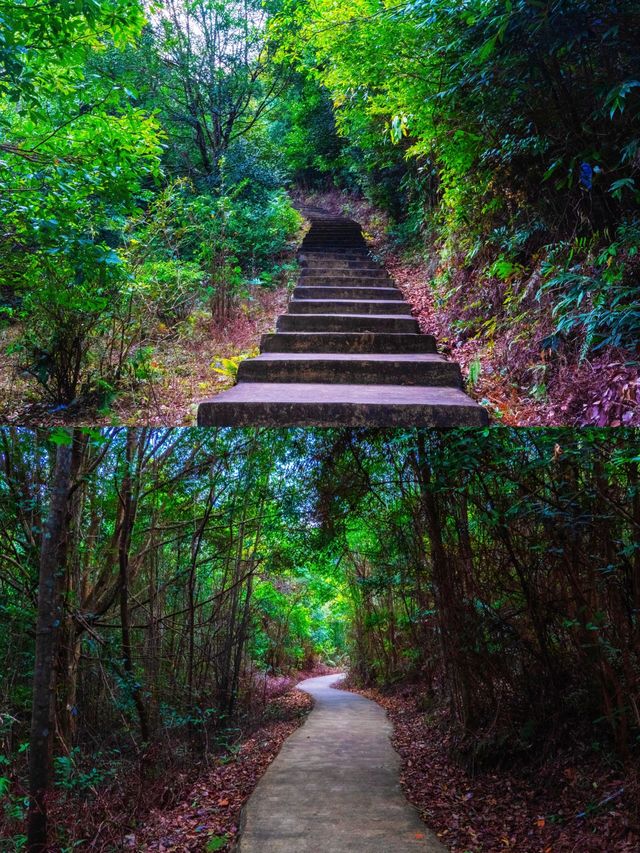 沒想到廣西還有這樣四季美景的地方
