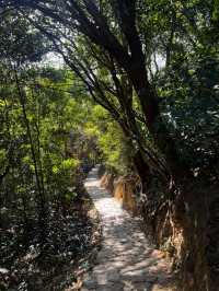 深圳市馬巒山徒步之旅#