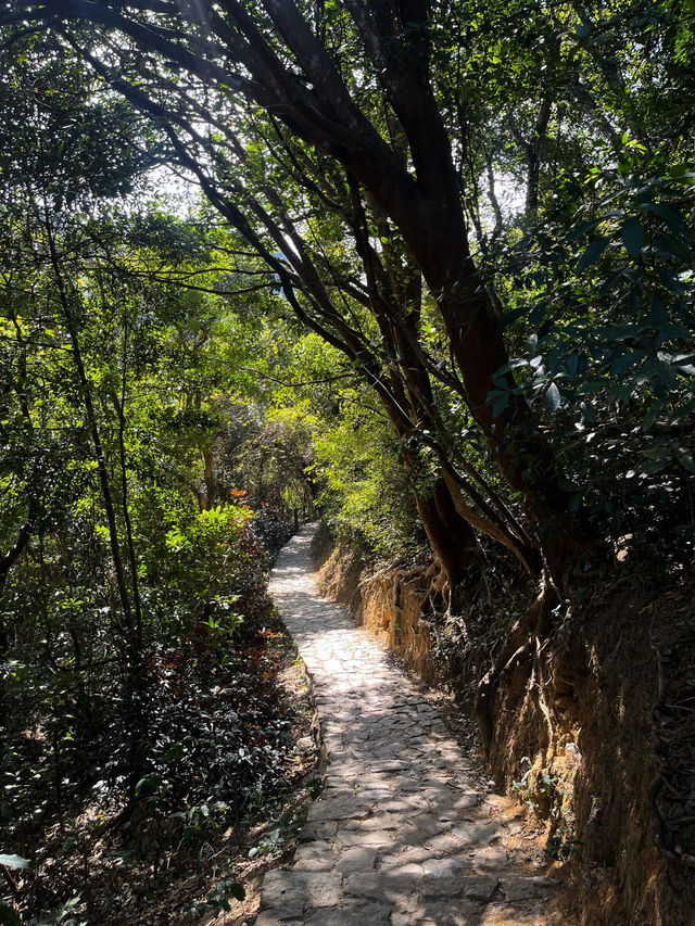 深圳市馬巒山徒步之旅#