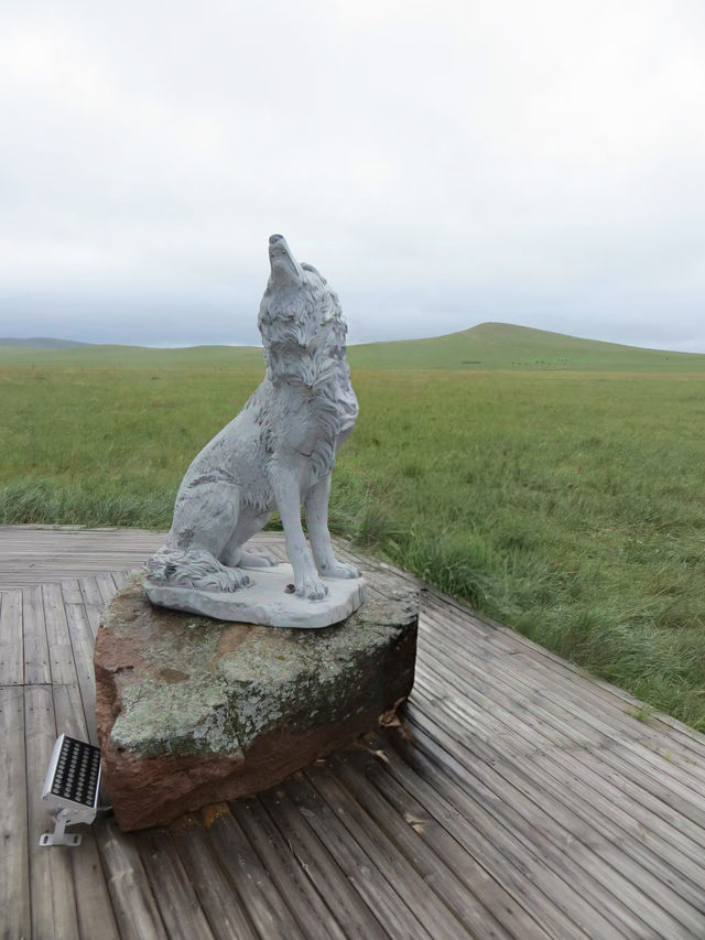 電影《狼圖騰》拍攝主景地攻略。
🐺🐺🐺內蒙古烏拉蓋野狼谷景區攻略🐺🐺🐺