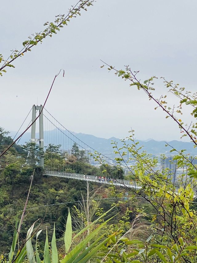 南丹山森林王國 | 邂逅自然與好運的寶藏之旅