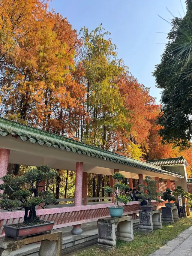 公主請就位這是你要的古堡和綠野仙蹤