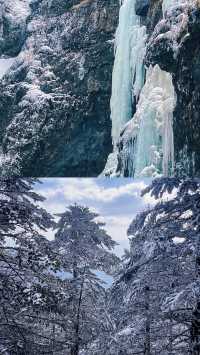 太坑了！!11月至2月去轎子雪山一定要注意