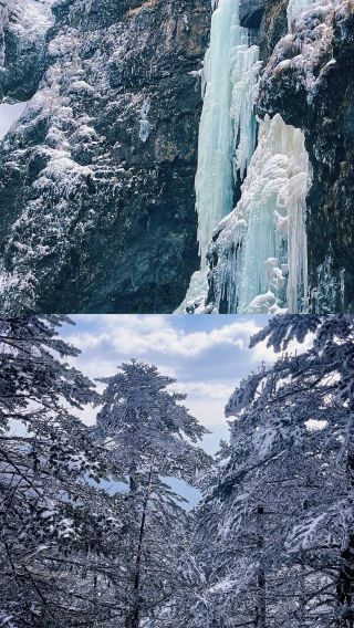 太坑了！!11月至2月去轎子雪山一定要注意