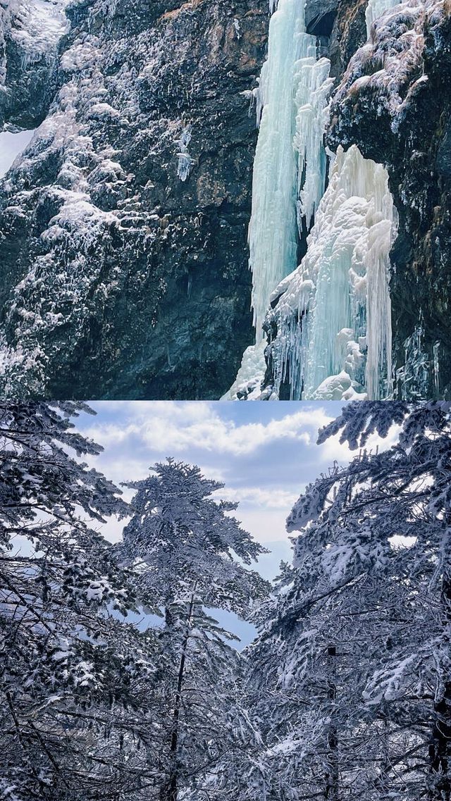 太坑了！!11月至2月去轎子雪山一定要注意