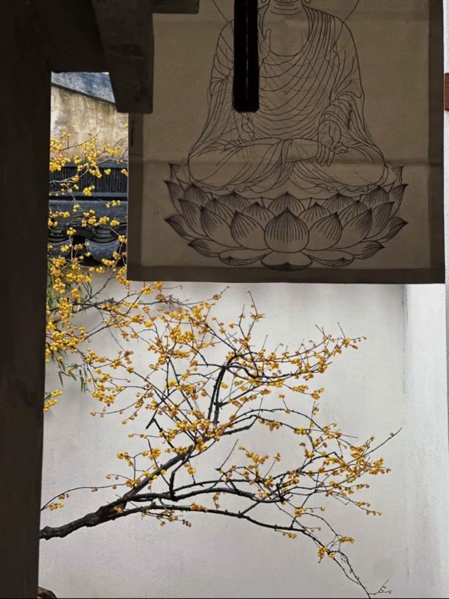 蘇州8座小眾園林的春和景明附賞花遊路線