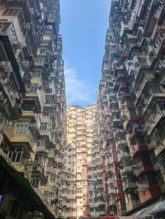 2日江門探秘 我為你揭秘這座城市的美好
