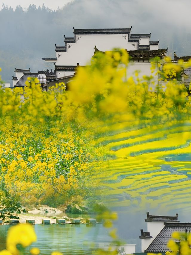 3 月小眾旅遊寶藏地，你 pick 哪一個？