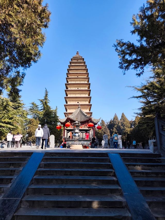 剛從洛陽回來，後勁簡直太大了……