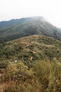 廣東版十萬大山｜喀斯特地貌不止廣西貴州