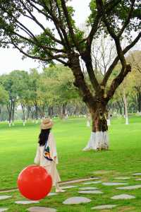 在中央公園，我彷彿掉進了宮崎駿的動畫世界裡