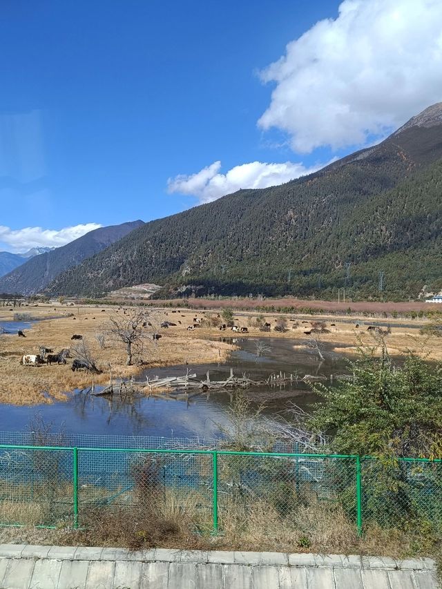 林芝3日暢遊 超詳細攻略助你玩得盡興