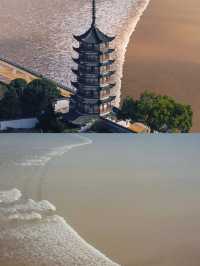 海寧之旅結束，分享一些真心話