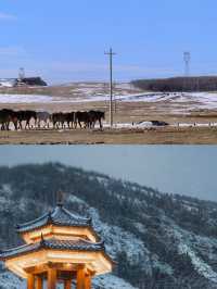 闖進冰雪童話！烏蘭察布冬日限定草原闖進冰雪童話！烏蘭察布°